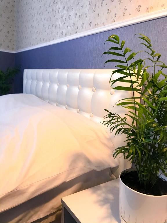 Хостелы Pelican Черновцы-47