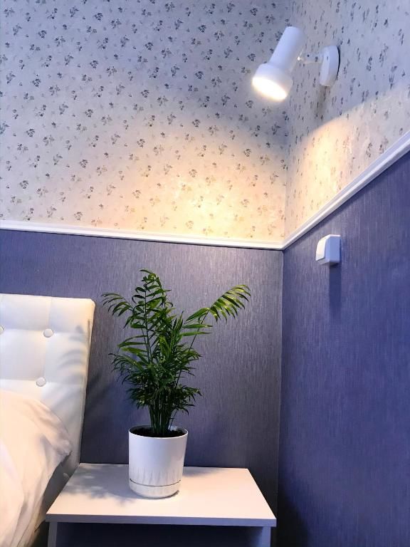 Хостелы Pelican Черновцы-48