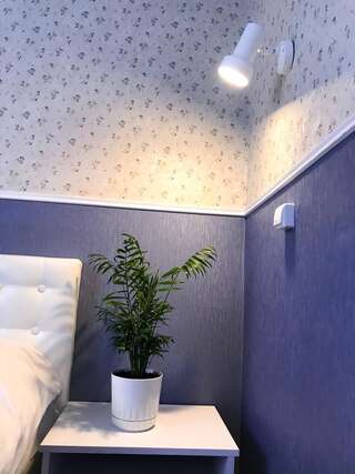 Хостелы Pelican Черновцы Стандартный двухместный номер с 1 кроватью и общей ванной комнатой-3