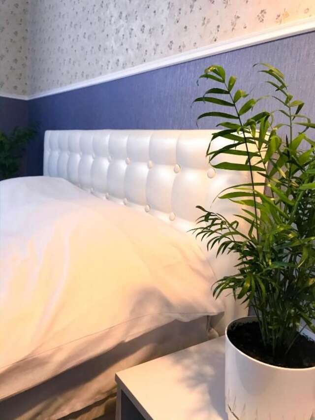 Хостелы Pelican Черновцы-46