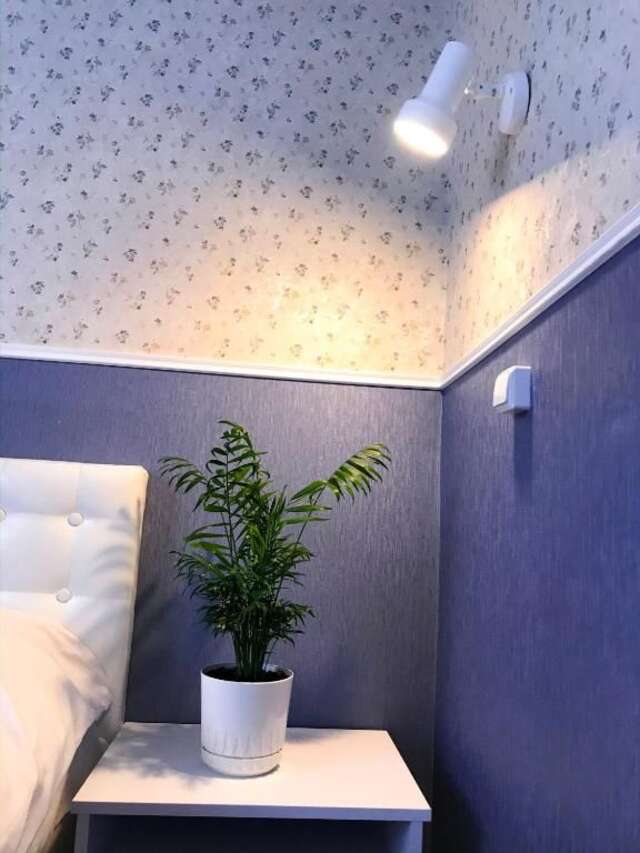 Хостелы Pelican Черновцы-47